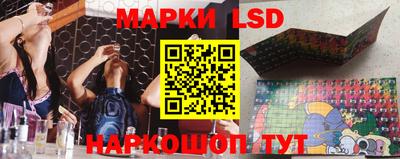 mdma Новозыбков