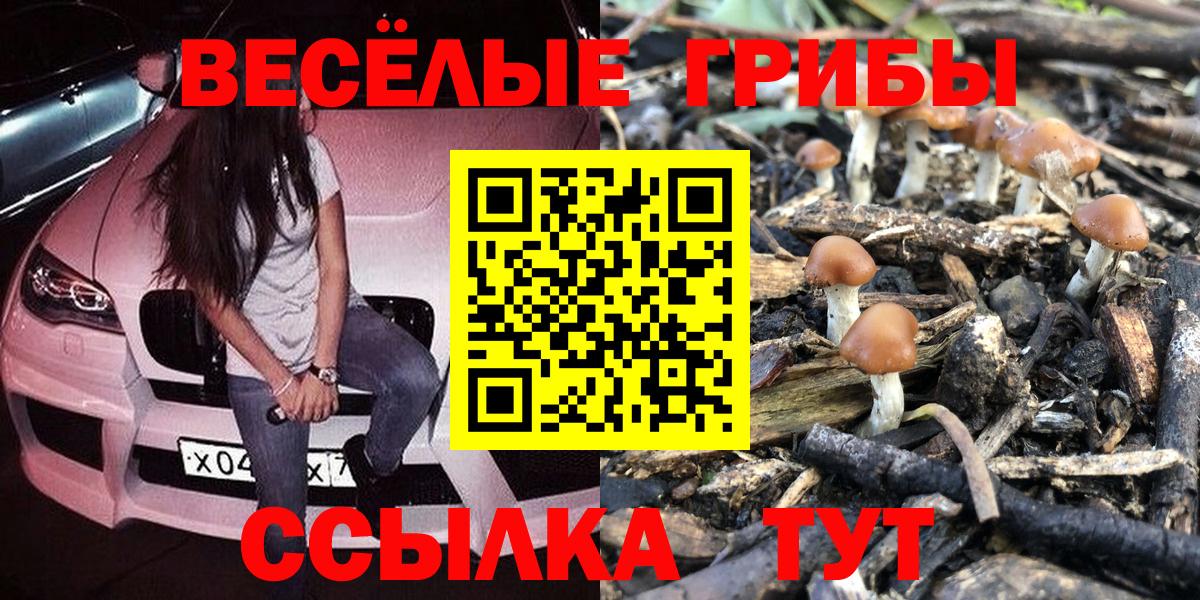 Галлюциногенные грибы мухоморы Тамбов