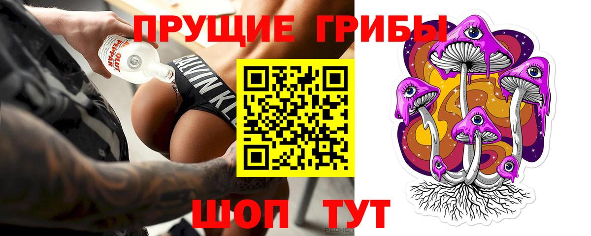 Псилоцибиновые грибы Magic Shrooms  Вход с VPN  Тамбов  где продают наркотики  Галлюциногенные грибы GOLDEN TEACHER 
